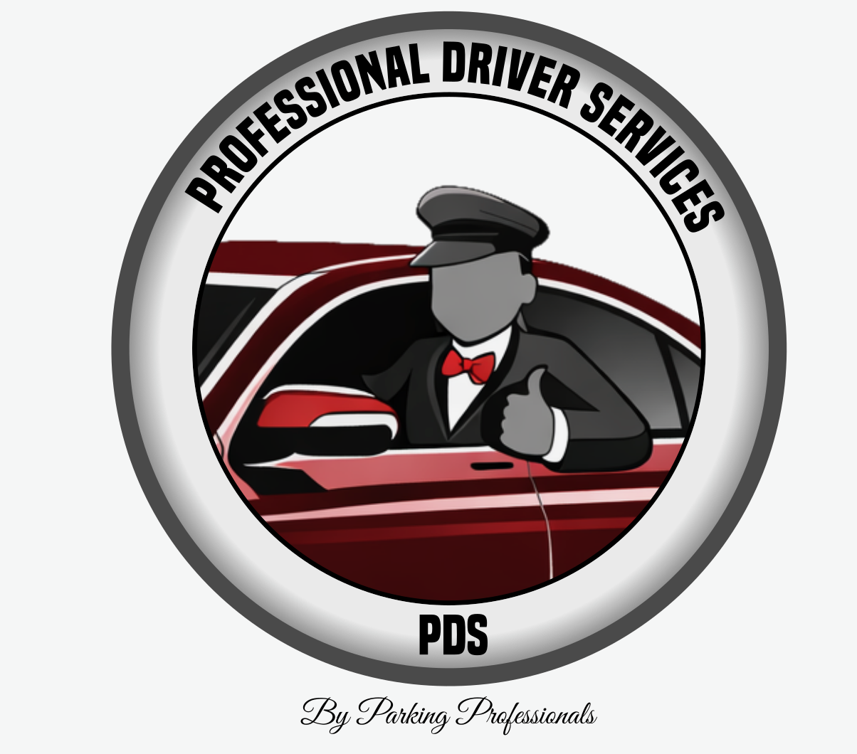 Professional Driver Services